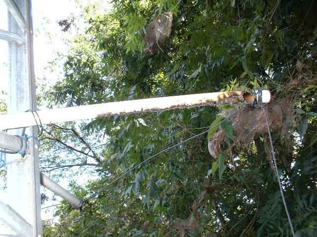 The burnt support pipe