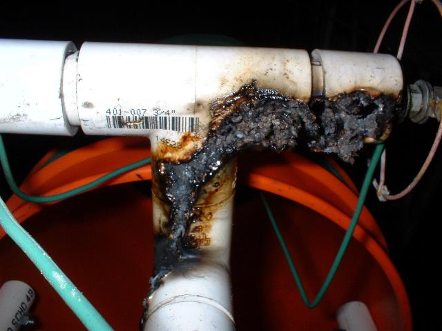 Underside of Failed Insulator